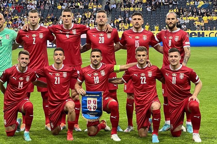 塞尔维亚世界杯足球阵容