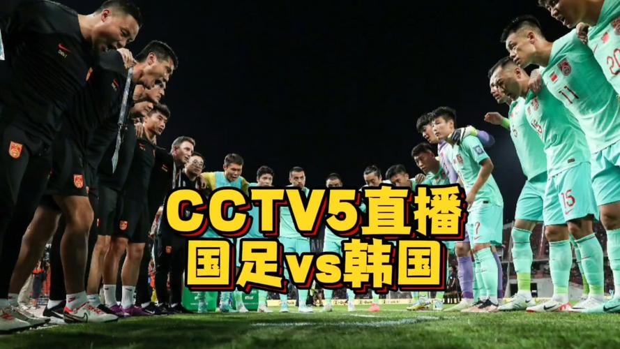足球直播在线观看免费高清cctv5